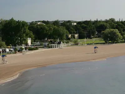 Beach with trees in behind