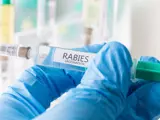 Hand in rubber glove holding rabies vaccine needle