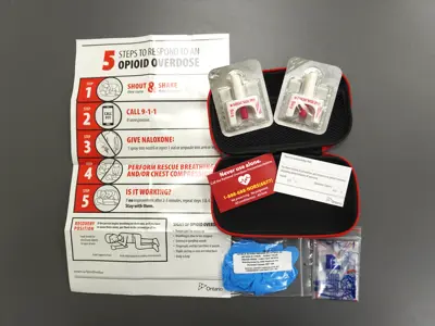 Contents of a naloxone kit photographed from above.